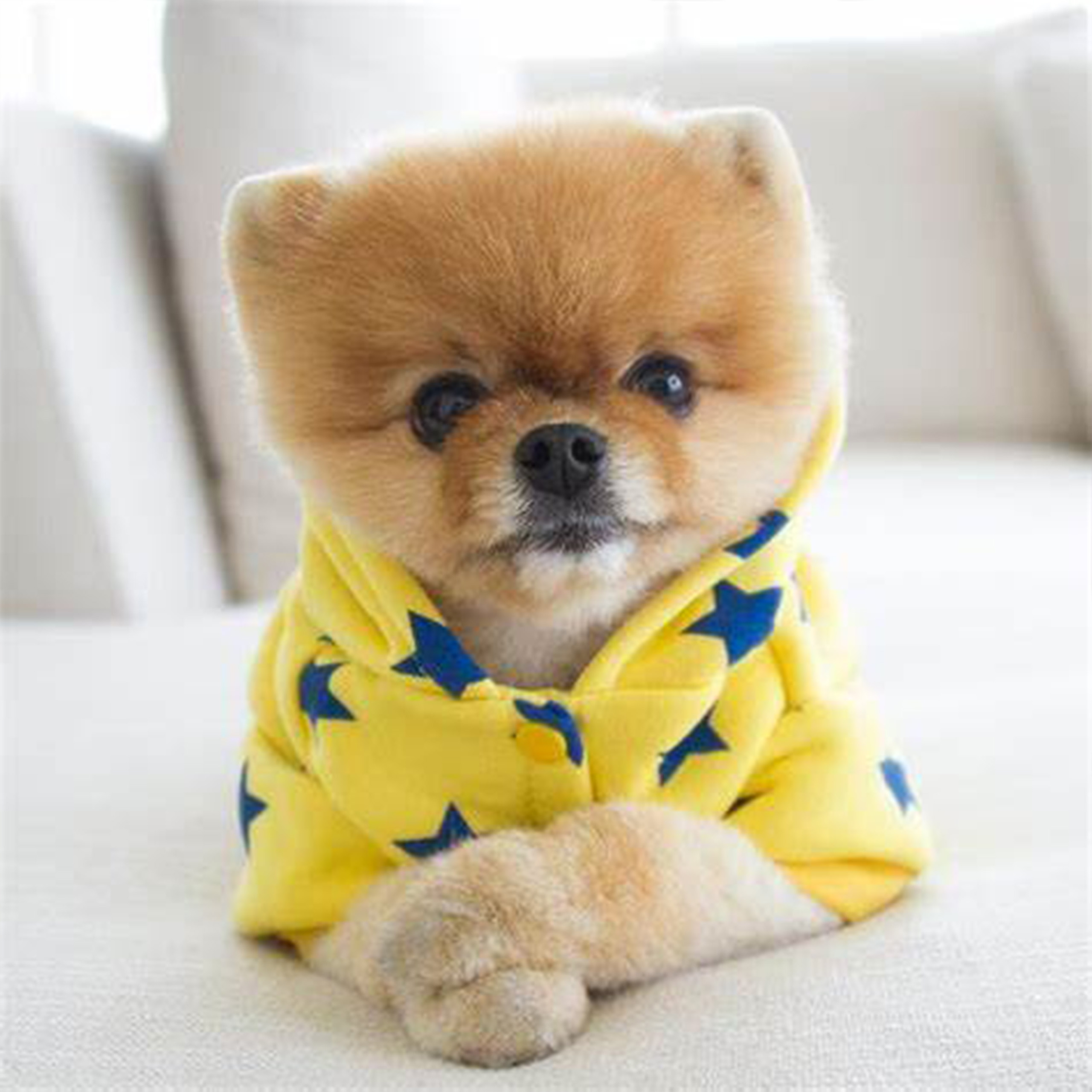 IMAGE 2025-07-20 19:41:12